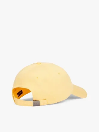 Șepci de baseball cu logo steag Șepci de baseball cu logo steag