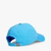 Șepci de baseball cu logo steag Șepci de baseball cu logo steag