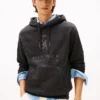 Hanorac cu glugă Hilfiger Crest Logo Heathered Hanorac cu glugă Hilfiger Crest Logo Heathered