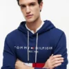 Hanorac cu glugă și blocuri de culoare, cu logo Tommy brodat Hanorac cu glugă și blocuri de culoare, cu logo Tommy brodat