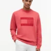Hanorac cu mâneci raglan și logo steag, cu interior periat Hanorac cu mâneci raglan și logo steag, cu interior periat