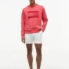 Hanorac cu mâneci raglan și logo steag, cu interior periat Hanorac cu mâneci raglan și logo steag, cu interior periat
