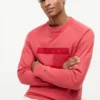 Hanorac cu mâneci raglan și logo steag, cu interior periat Hanorac cu mâneci raglan și logo steag, cu interior periat