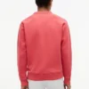 Hanorac cu mâneci raglan și logo steag, cu interior periat Hanorac cu mâneci raglan și logo steag, cu interior periat