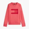 Hanorac cu mâneci raglan și logo steag, cu interior periat Hanorac cu mâneci raglan și logo steag, cu interior periat