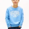 Hanorac Hilfiger 85 Logo pentru copii Hanorac Hilfiger 85 Logo pentru copii