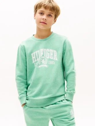 Hanorac Hilfiger 85 Logo pentru copii