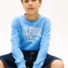Hanorac Hilfiger 85 Logo pentru copii Hanorac Hilfiger 85 Logo pentru copii