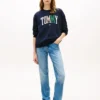 Hanorac multicolor cu logo Tommy Hanorac multicolor cu logo Tommy
