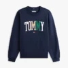 Hanorac multicolor cu logo Tommy Hanorac multicolor cu logo Tommy