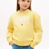 Hanorac pentru copii cu logo Tommy Hanorac pentru copii cu logo Tommy