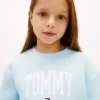Hanorac pentru copii cu logo Tommy