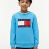 Hanorac raglan pentru copii cu logo Tommy Flag Hanorac raglan pentru copii cu logo Tommy Flag