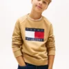 Hanorac raglan pentru copii cu logo Tommy Flag