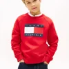 Hanorac raglan pentru copii cu logo Tommy Flag