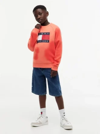 Hanorac raglan pentru copii cu logo Tommy Flag