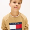 Hanorac raglan pentru copii cu logo Tommy Flag