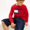 Hanorac raglan pentru copii cu logo Tommy Flag