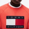 Hanorac raglan pentru copii cu logo Tommy Flag