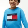 Hanorac raglan pentru copii cu logo Tommy Flag Hanorac raglan pentru copii cu logo Tommy Flag