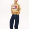 Hanorac raglan pentru copii cu logo Tommy Flag