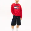 Hanorac raglan pentru copii cu logo Tommy Flag