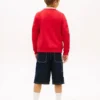 Hanorac raglan pentru copii cu logo Tommy Flag