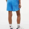 Pantaloni scurți pentru copii cu logo steag în nuanțe tonale