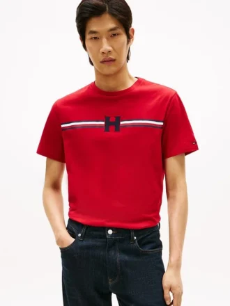 Tricou cu dungi H