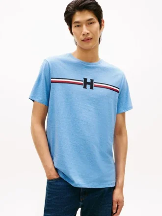 Tricou cu dungi H