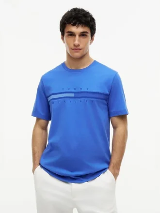 Tricou cu logo steag în nuanțe