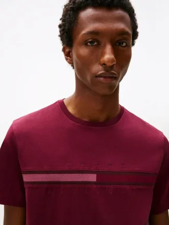 Tricou cu logo steag în nuanțe Tricou cu logo steag în nuanțe