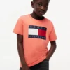 Tricou pentru copii Tommy cu logo steag