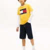 Tricou pentru copii Tommy cu logo steag