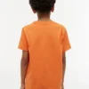 Tricou pentru copii Tommy cu logo steag