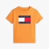 Tricou pentru copii Tommy cu logo steag