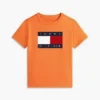 Tricou pentru copii Tommy cu logo steag