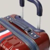 Valiză cu roți și carcasă rigidă de 21″